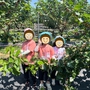 의당초병설유치원, 한국잠사박물관 생태체험 현장학습 운영 사진